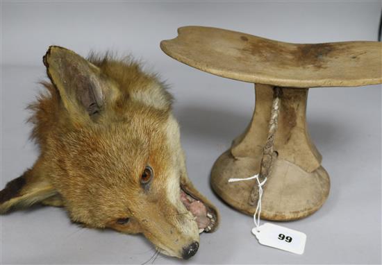 A taxidermic foxs head and a tribal head stand